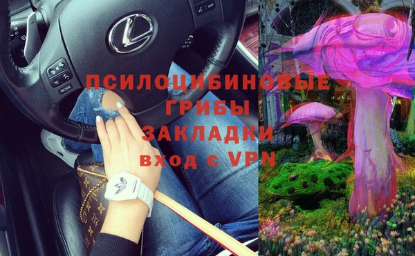 мдпв Балахна