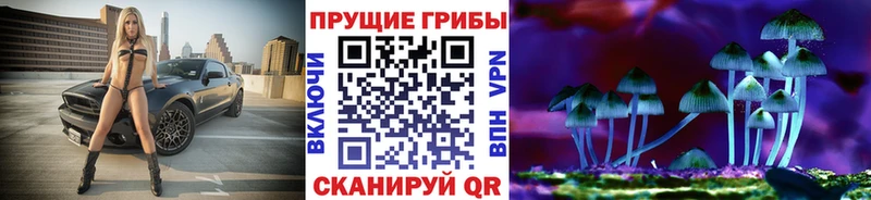 Псилоцибиновые грибы Cubensis blacksprut рабочий сайт Колпашево наркота